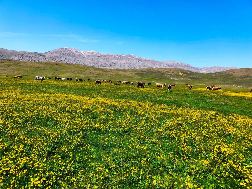 Konya’nın cennet köşesi baharı böyle karşıladı 17